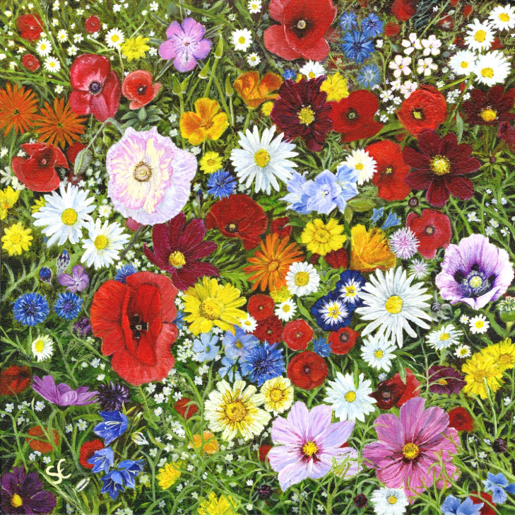 Wonderfully Wild – Flower Fine Art Print — Sarah Elliott Fine Art